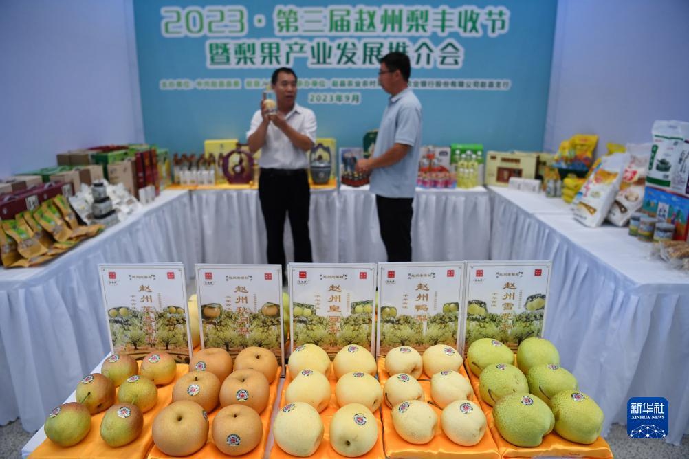 e8平台登录地址